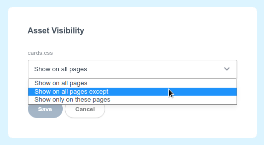 Asset Visibility