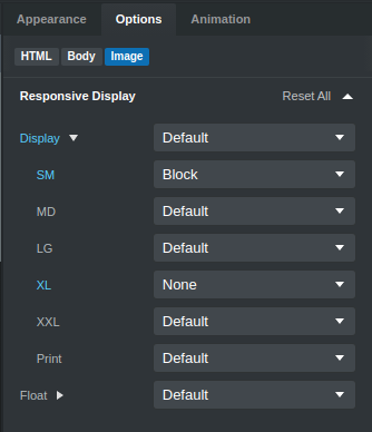 Responsive Display